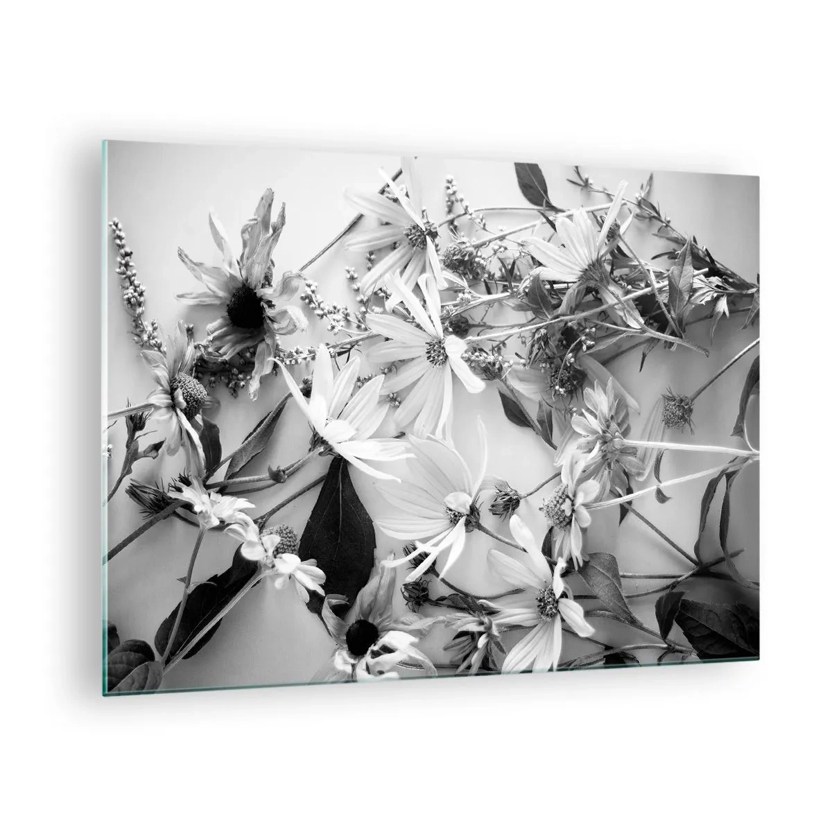 Billede på glas - Spredte sorte og hvide blomster i et kunstnerisk arrangement - 70x50cm - Blomster uden buket - Moderne vægdekoration til stue og soveværelse ARTTOR