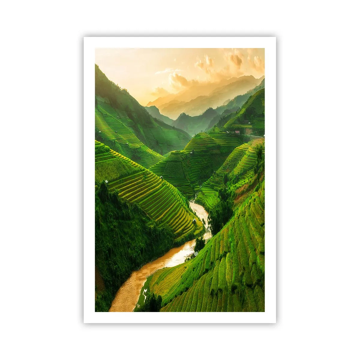Plakat - Vietnamesisk dal - 61x91 cm
