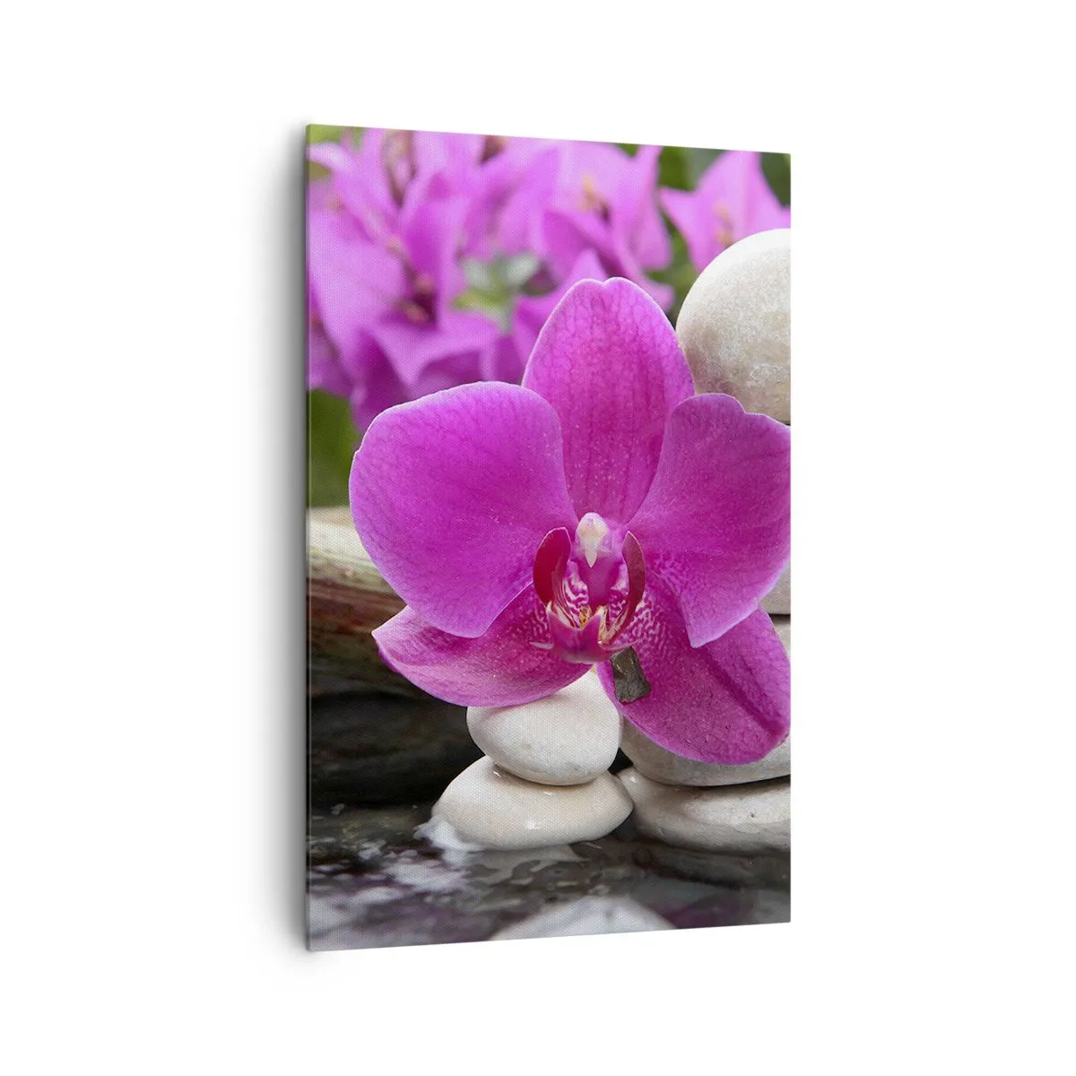 Lærredstryk - Billede på lærred - Du hviler allerede - 80x120 cm