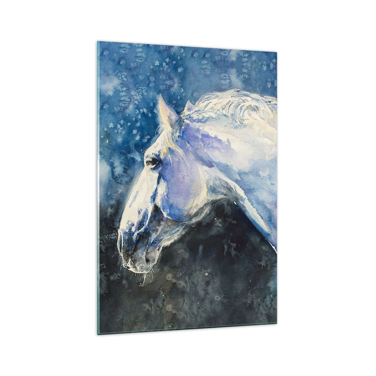 Billede på glas - Portræt i et blåt skær - 70x100 cm