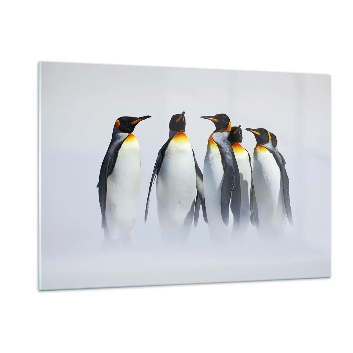 Billede på glas - Møde i aftenkjole - 120x80 cm