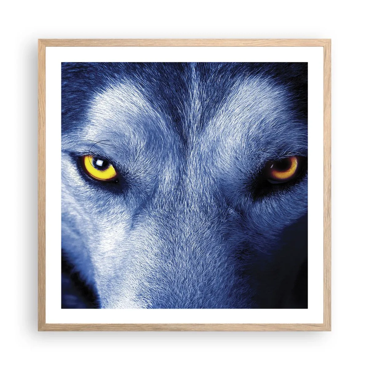 Plakat i ramme af lyst egetræ - Et hypnotiserende udseende - 60x60 cm