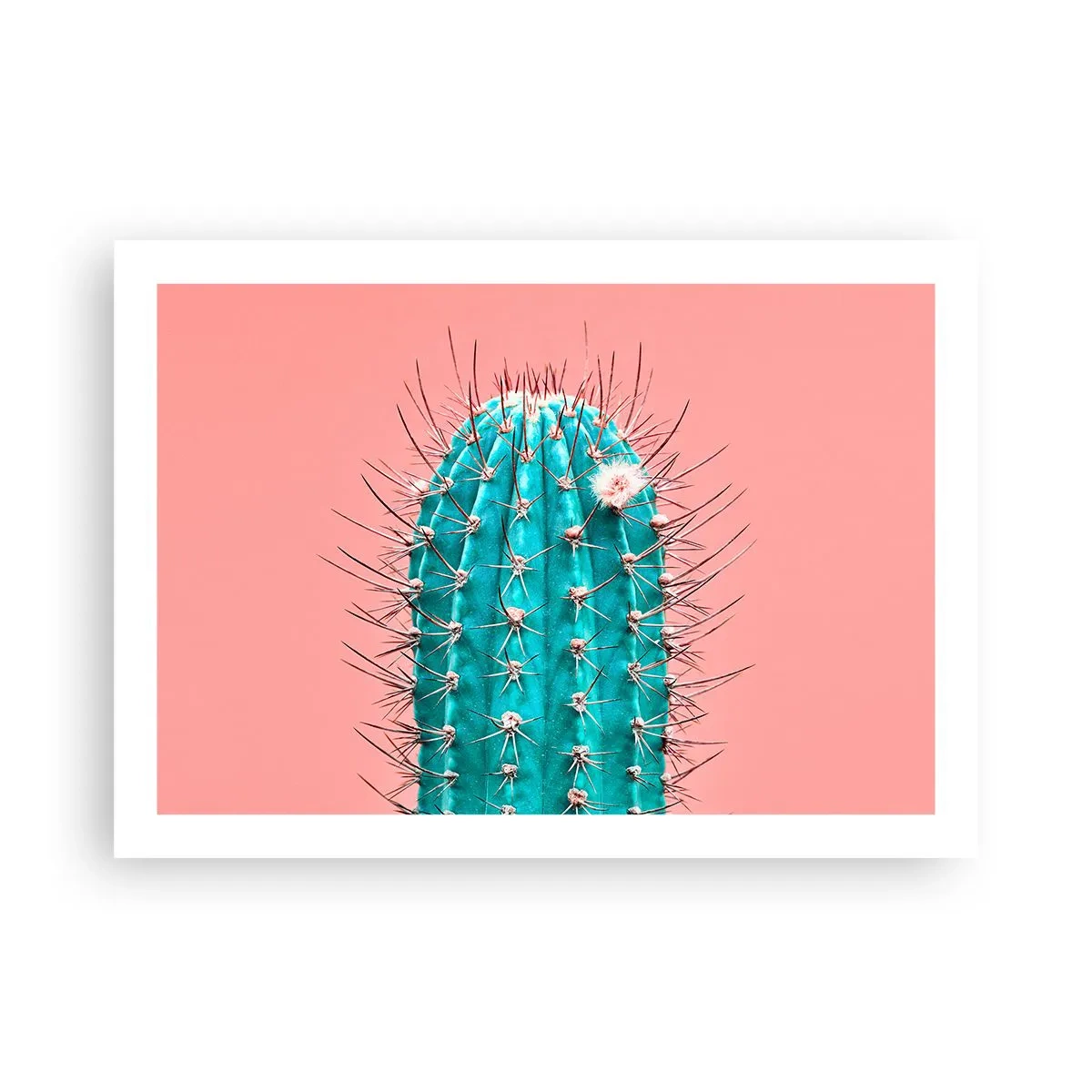 Plakat - Bare se - 70x50 cm