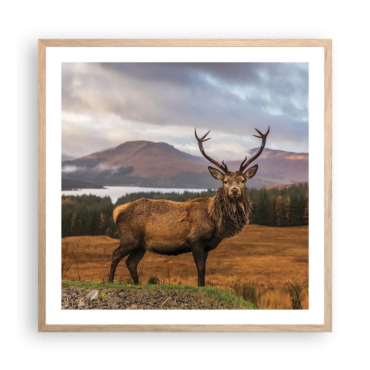 Plakat i ramme af lyst egetræ - Naturens majestæt - 60x60 cm