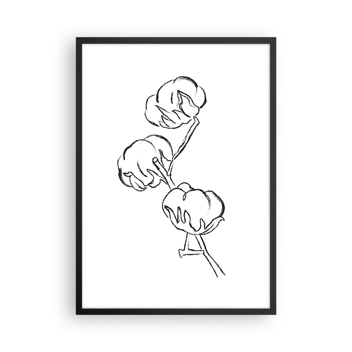 Plakat i sort ramme - En minimalistisk skitse af en bomuldsgren - 50x70cm - Bomuld ned - Moderne vægdekoration til stue og soveværelse ARTTOR