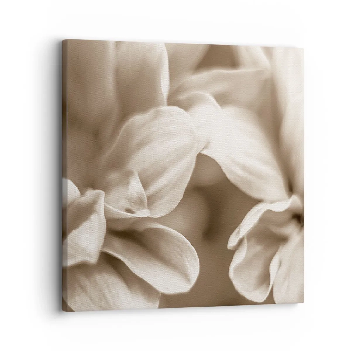 Lærredstryk - Billede på lærred - Blid som et smil - 30x30 cm