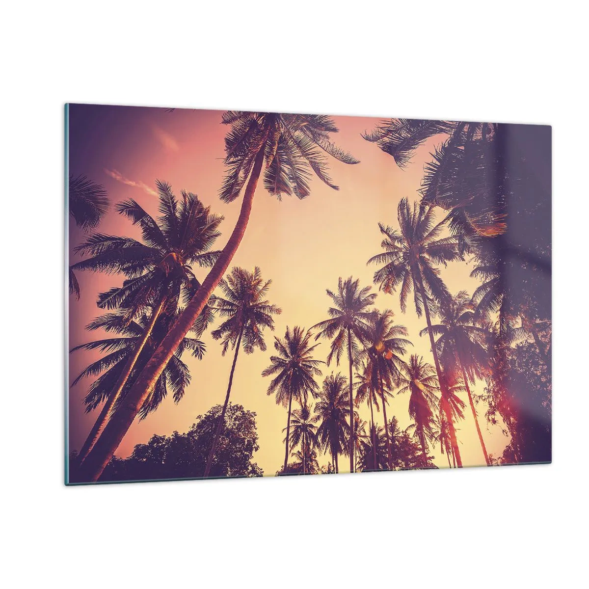 Billede på glas - Tropisk variation - 120x80 cm