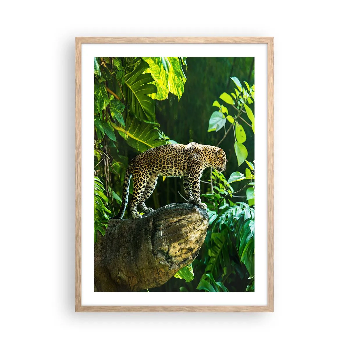 Plakat i ramme af lyst egetræ - Til jagt? - 50x70 cm
