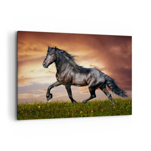 Lærredstryk - Billede på lærred - Sort prins - 100x70 cm