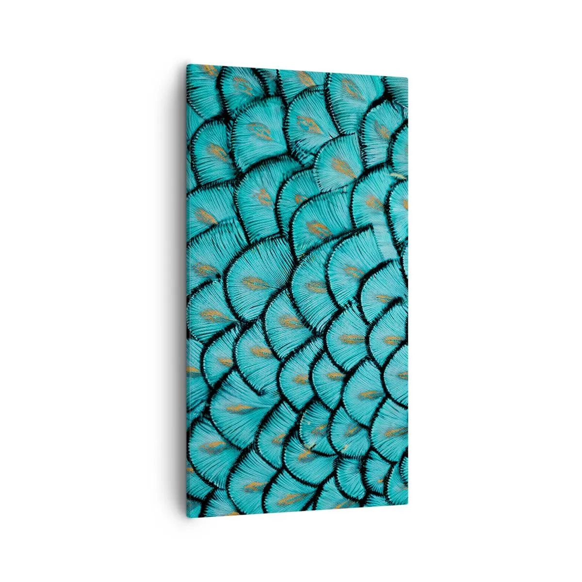 Lærredstryk - Billede på lærred - Den store fjer-galla - 55x100 cm