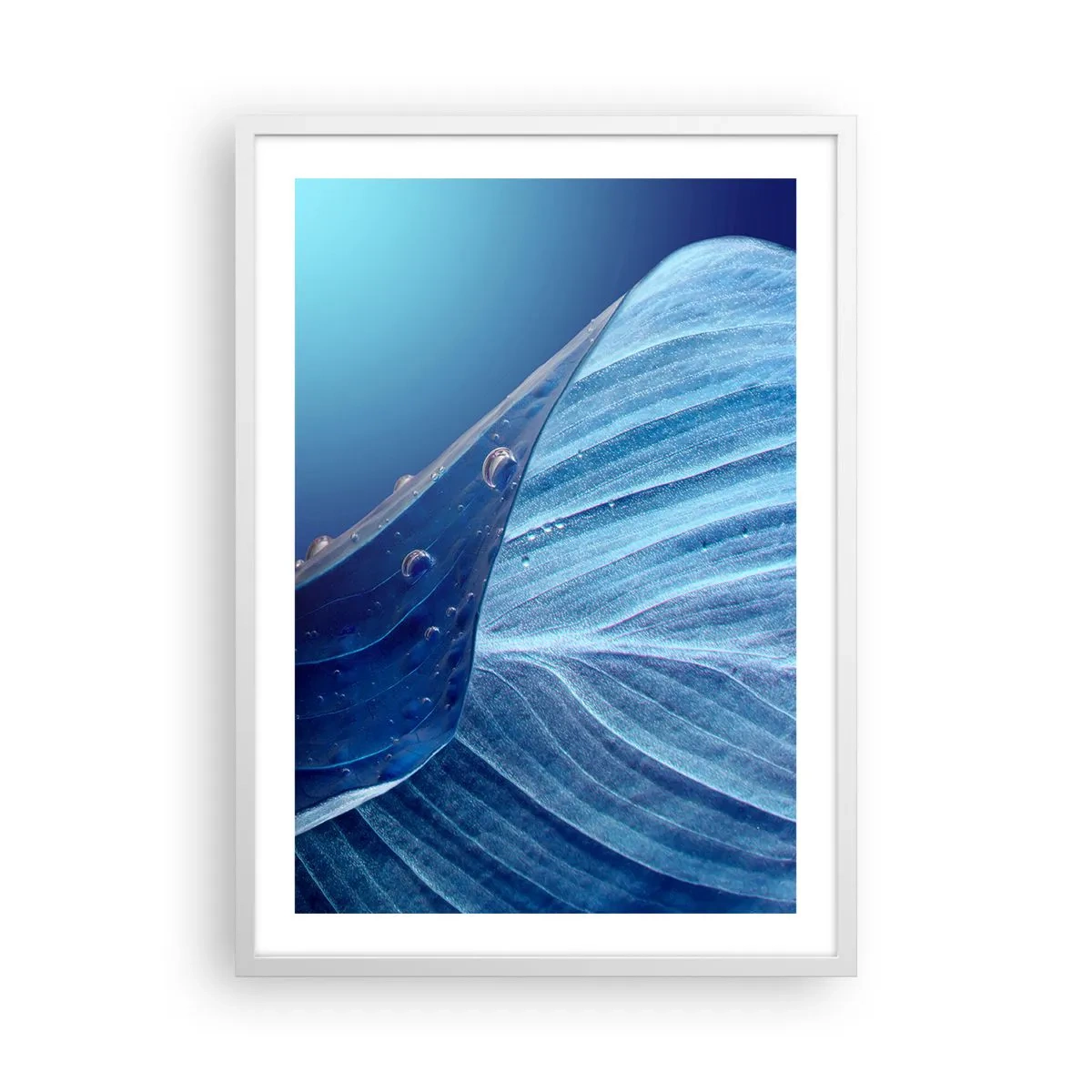 Plakat i hvid ramme - Skjulte dråber af blåt - 50x70 cm