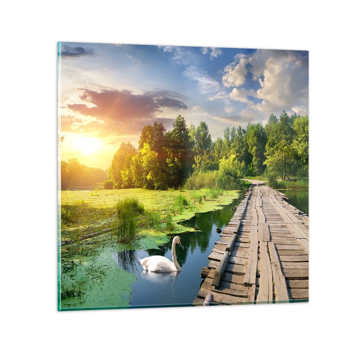 Billede på glas - Sommer, sommer overalt - 70x70 cm