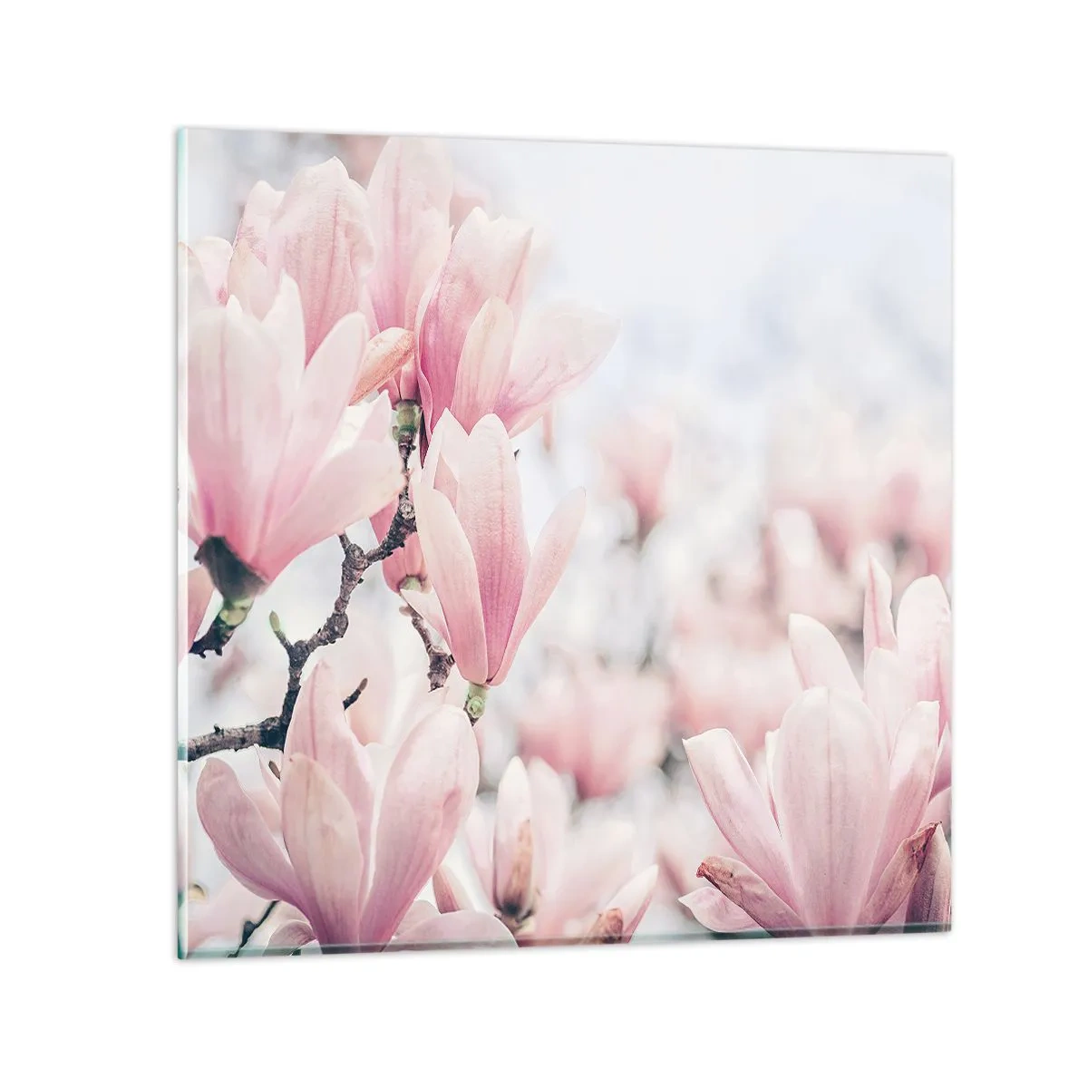 Billede på glas - Idealet om subtilitet - 40x40 cm