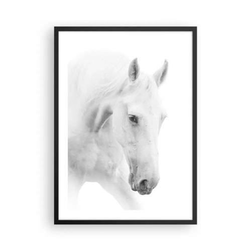 Plakat i sort ramme - Portræt af en hvid hest i minimalistisk stil - 50x70cm - Er dette venskab...? - Moderne vægdekoration til stue og soveværelse ARTTOR