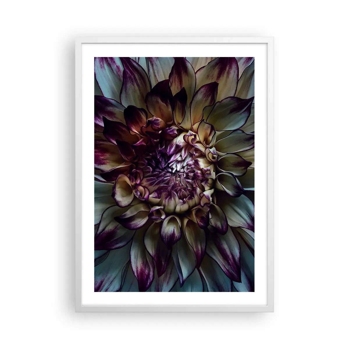 Plakat i hvid ramme - Ungdommens blomstring - 50x70 cm