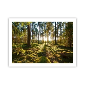 Plakat - ...Bag de syv skove - 70x50 cm