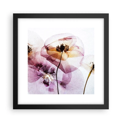 Plakat i sort ramme - Blomsterlegeme dias - 30x30 cm