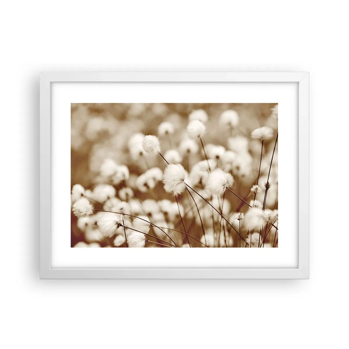 Plakat i hvid ramme - Fyldig mark - 40x30 cm