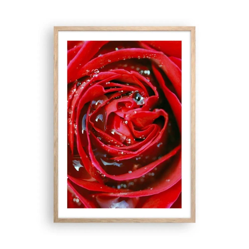 Plakat i ramme af lyst egetræ - I dråber af dug - 50x70 cm