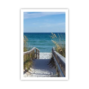 Plakat - I solen, i vinden - 61x91 cm