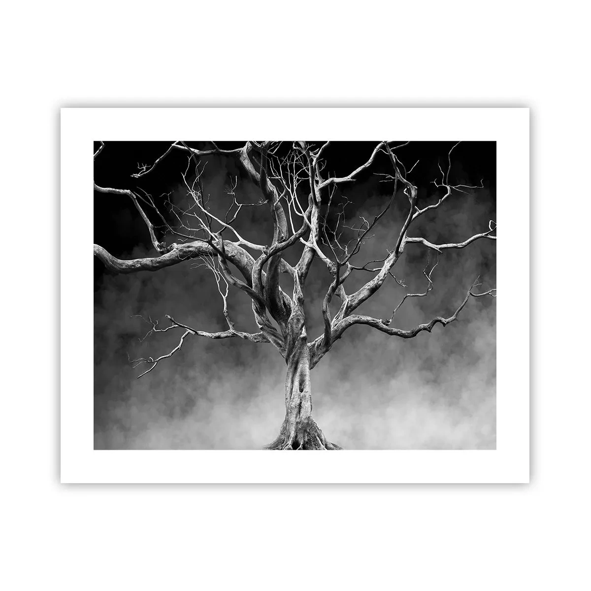 Plakat - Primær og hellig - 50x40 cm
