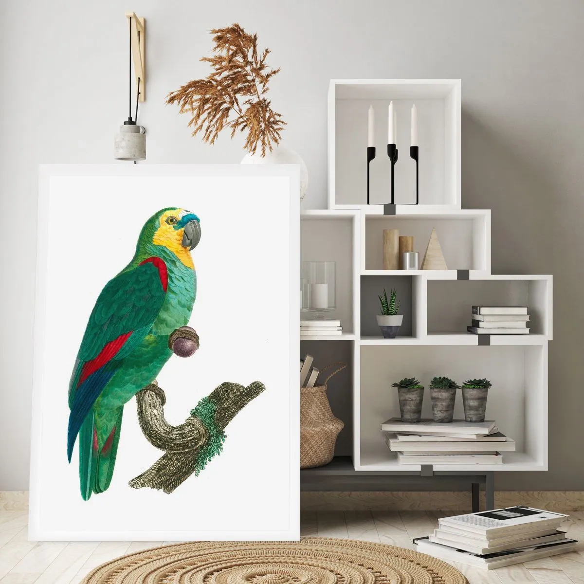 Plakat - Papegøjeportræt - 50x70 cm