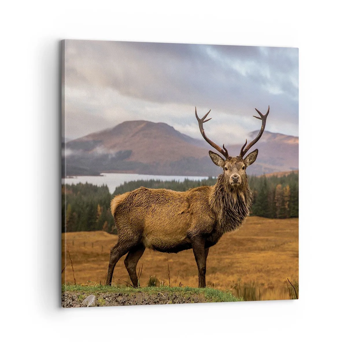 Lærredstryk - Billede på lærred - Naturens majestæt - 60x60 cm