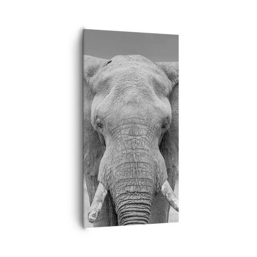 Lærredstryk - Billede på lærred - Velkommen til min verden - 65x120 cm