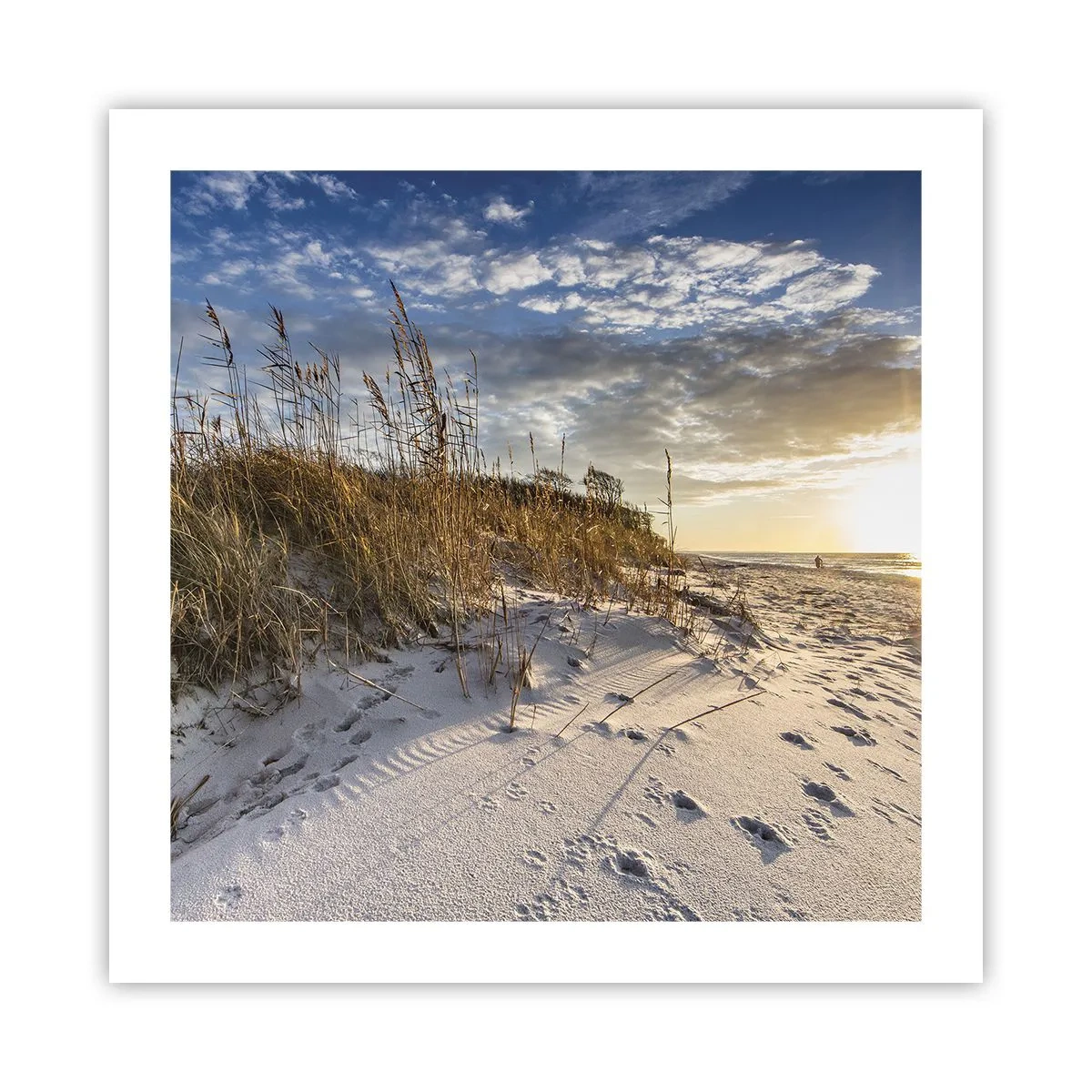Plakat - Indbydelse til en vandretur - 50x50 cm