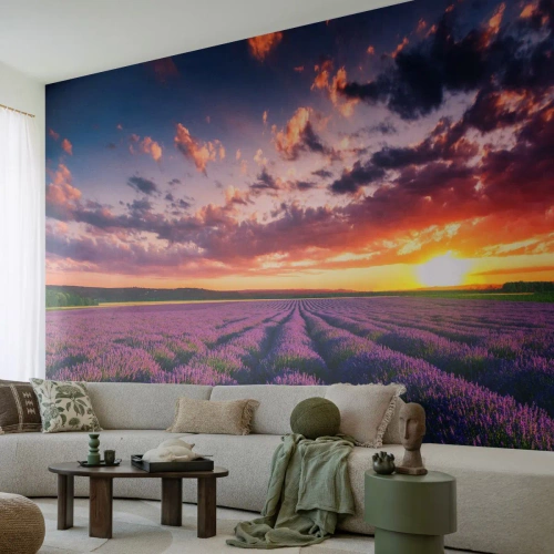 Fototapet Premium Sand - Lavendelverden - Landskab, Lavendelmark, Lavendel - 300x210 cm