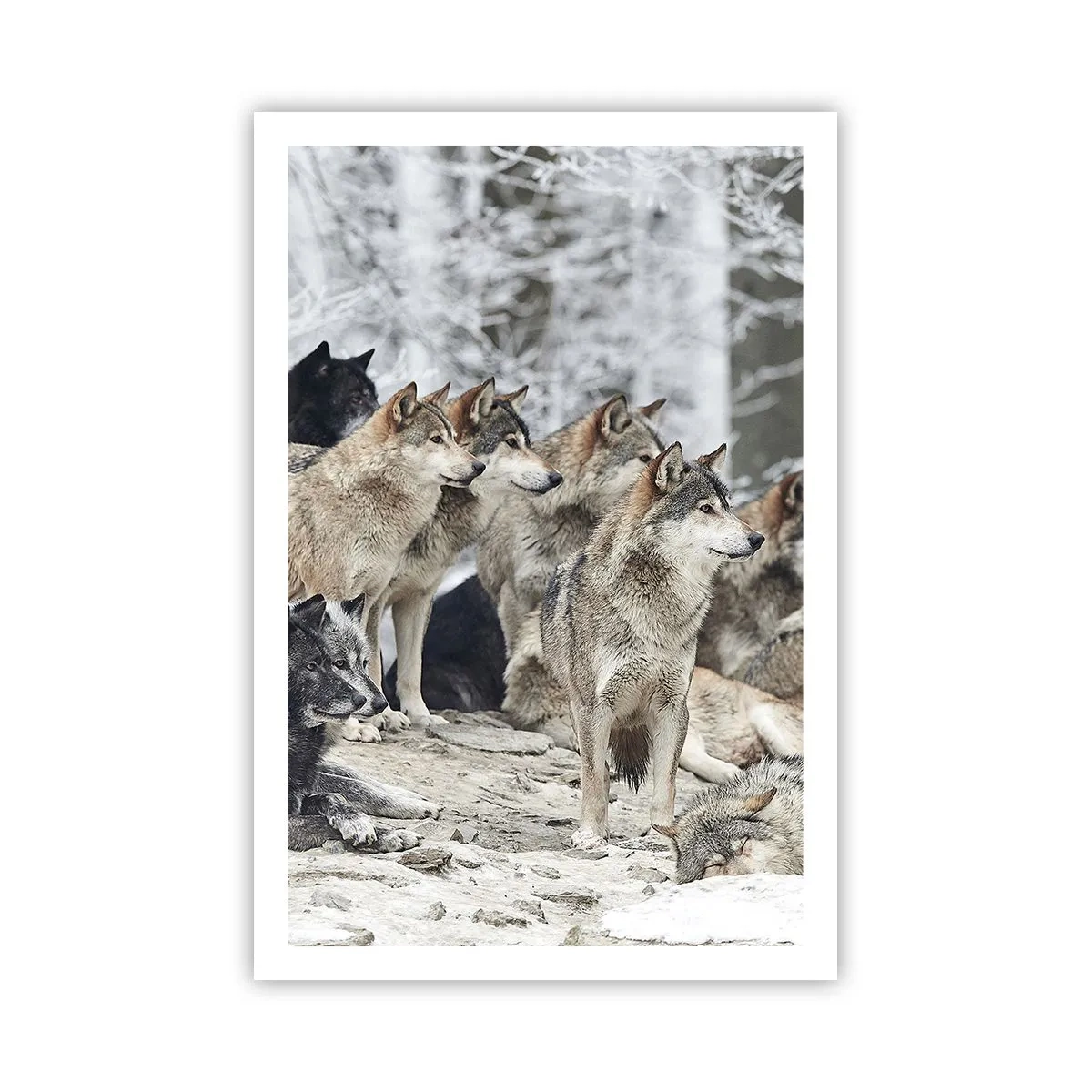 Plakat - Familie og venner - 61x91 cm