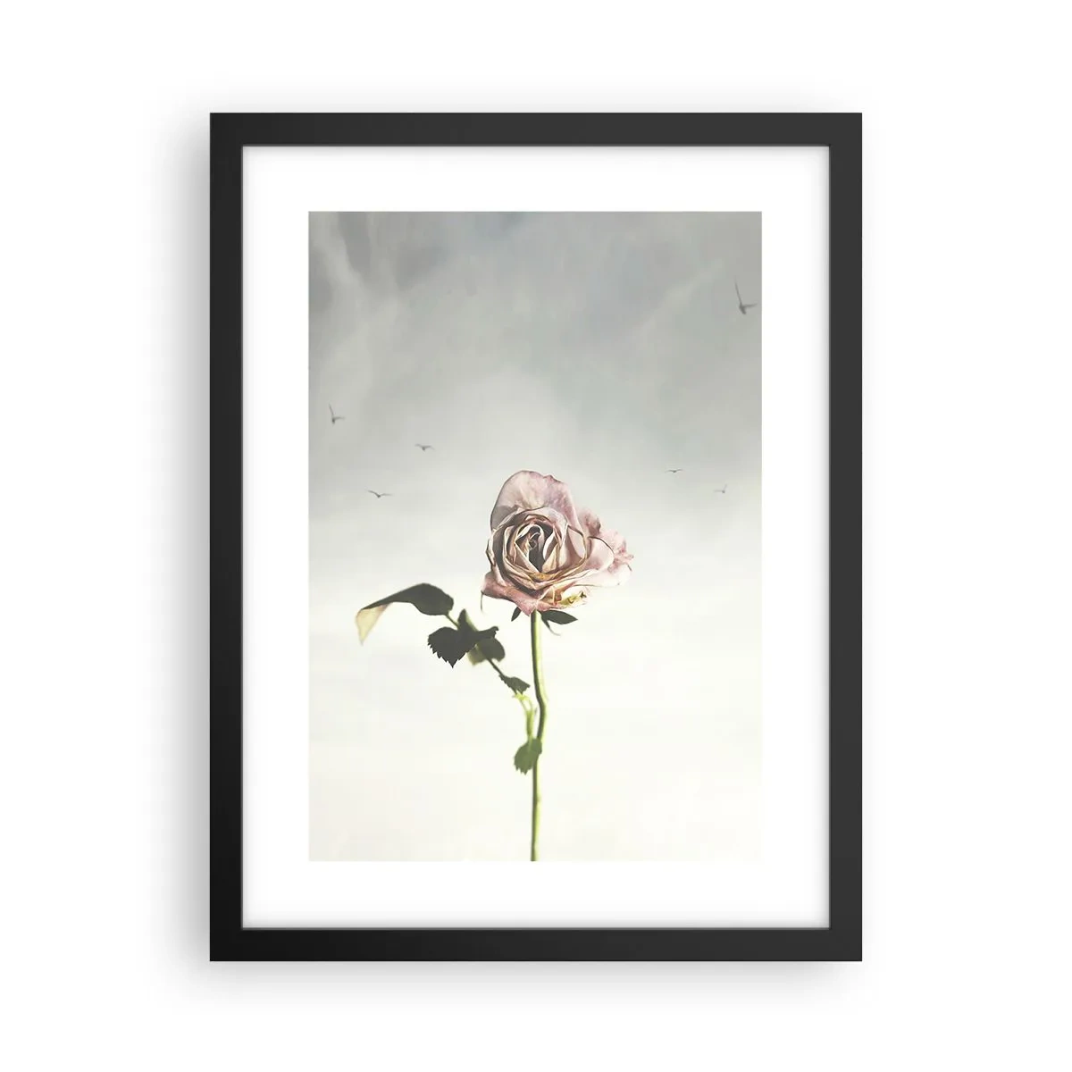 Plakat i sort ramme - Velkomst til foråret - 30x40 cm