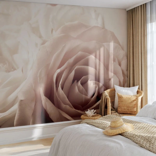 Fototapet Selvklæbende Deluxe Sticker - I rosens hjerte - Roser, Blomster, Romantisk - 400x280 cm
