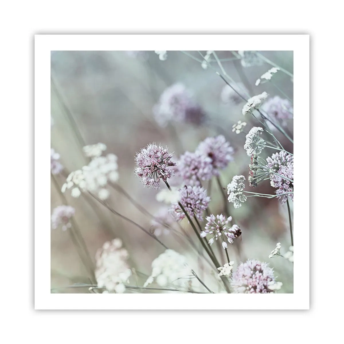 Plakat - Søde filigranurter - 60x60 cm