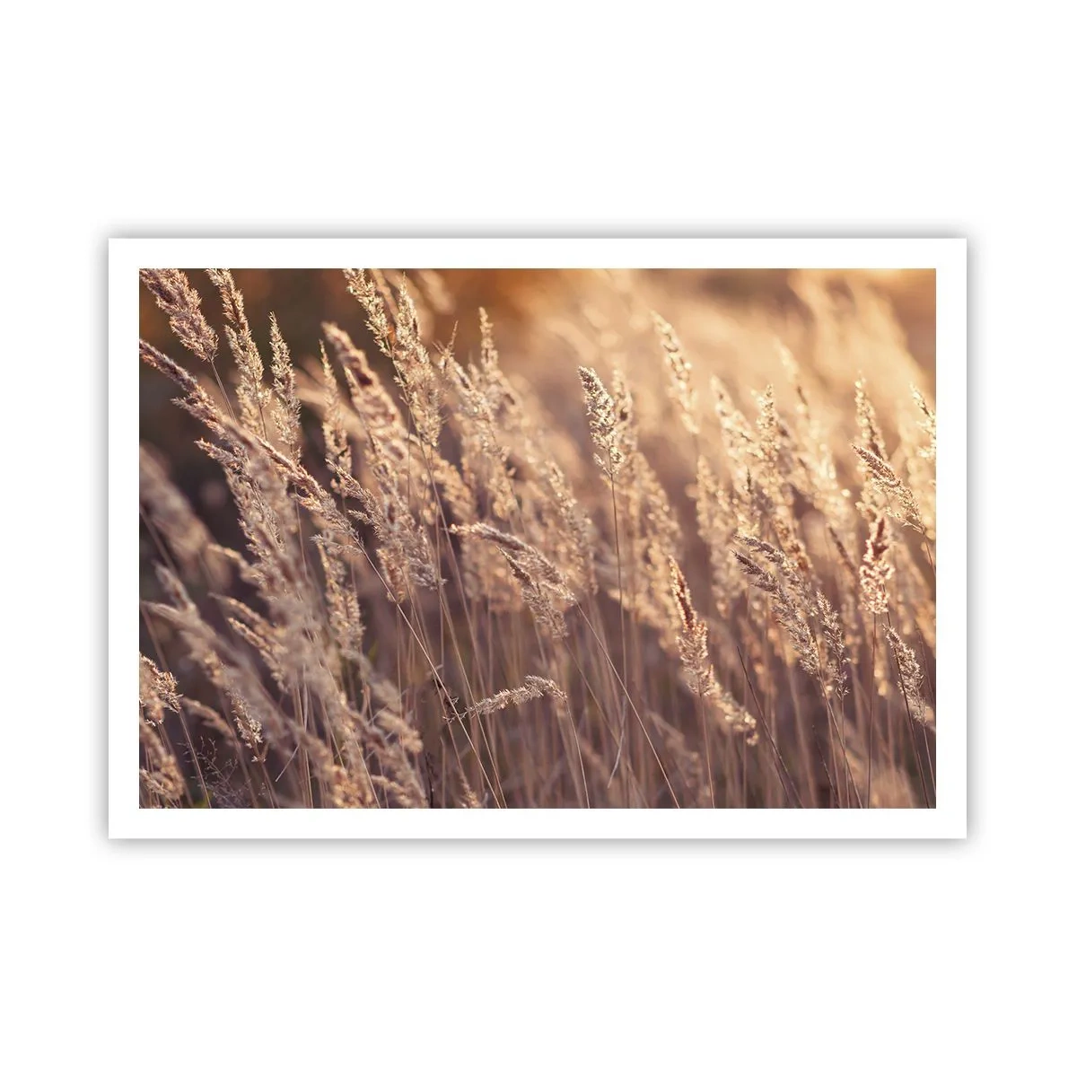 Plakat - Klar til at byde efteråret velkommen - 100x70 cm