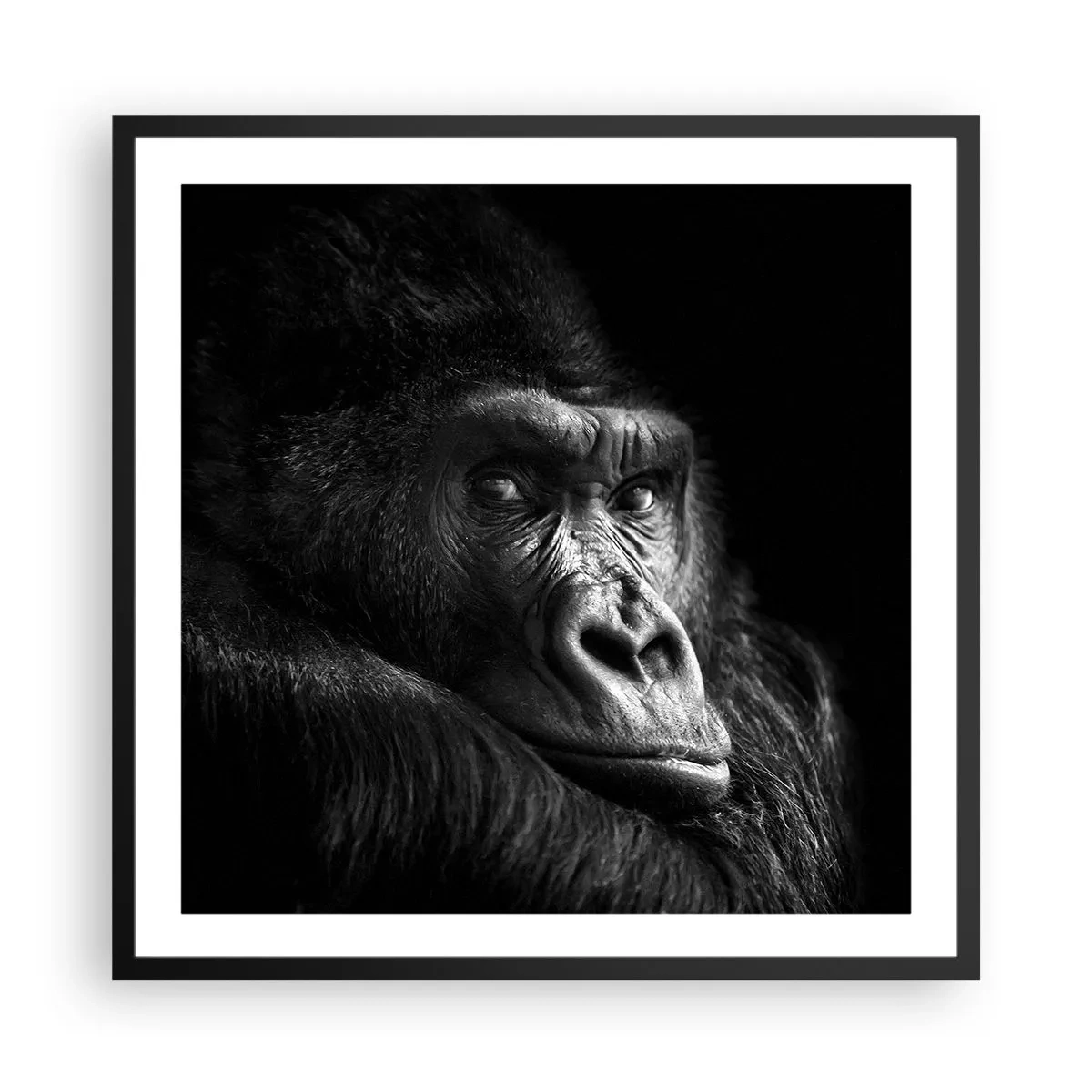 Plakat i sort ramme - Og hvad kigger du på? - 60x60 cm