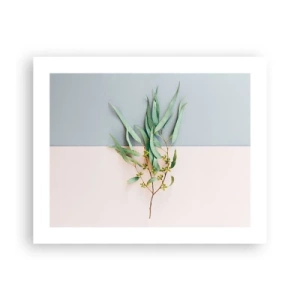 Plakat - Pastelfarvernes subtilitet - 50x40 cm