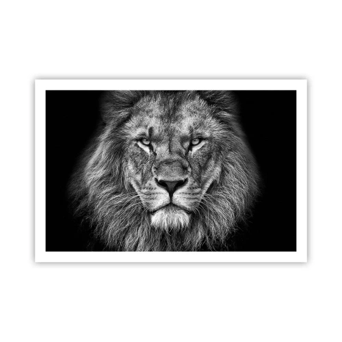 Plakat - I kroningsklædning - 91x61 cm