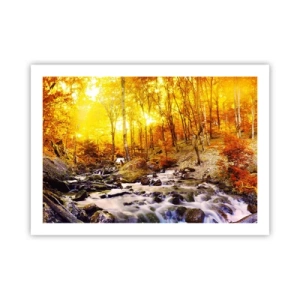 Plakat - Sten indfattet i guld og platin - 70x50 cm