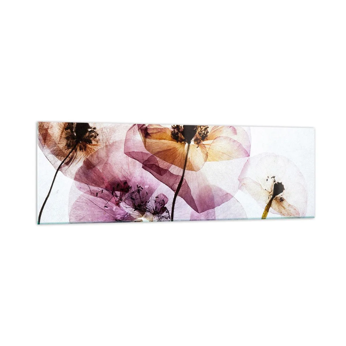 Billede på glas - Blomsterlegeme dias - 160x50 cm