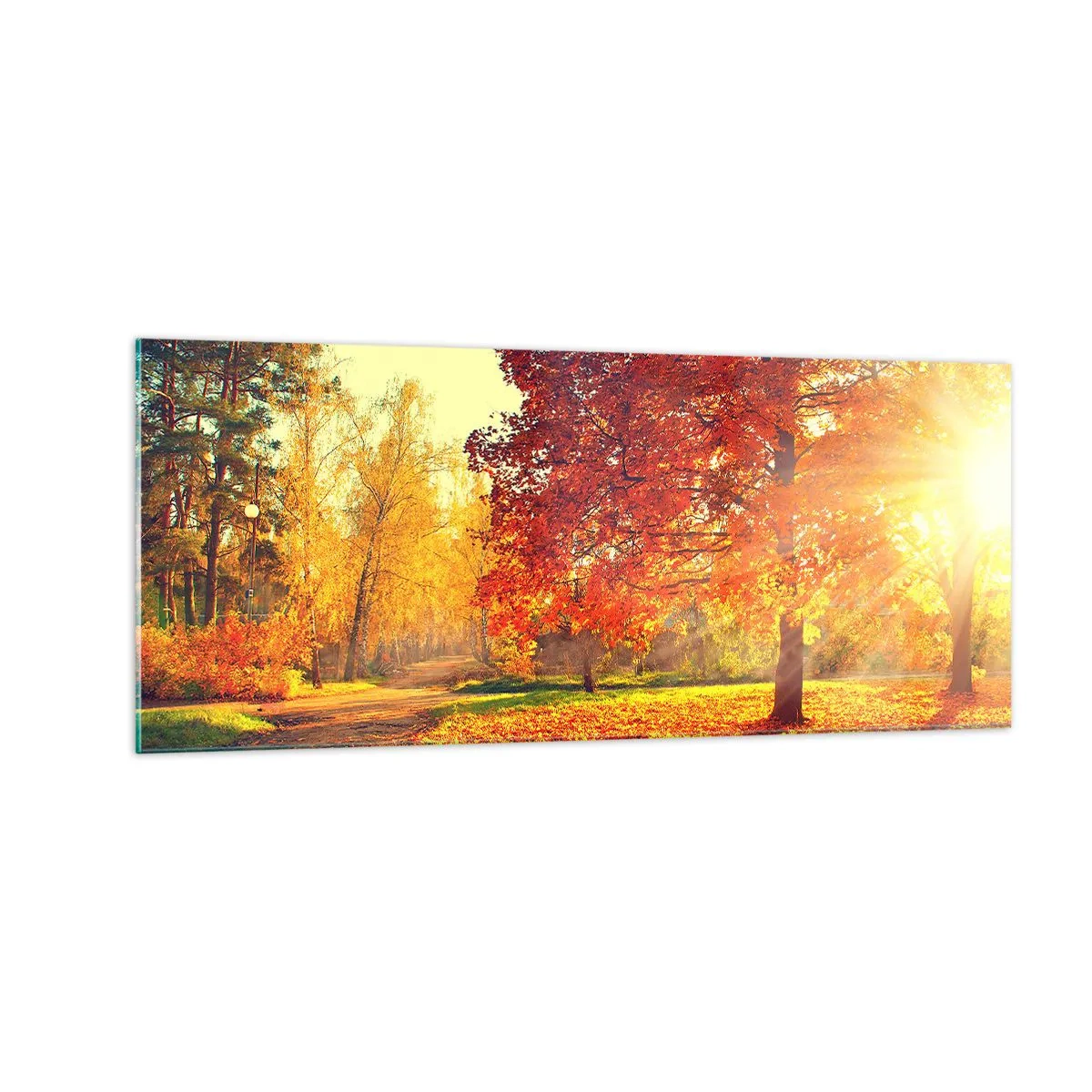Billede på glas - Rød er smuk - 100x40 cm