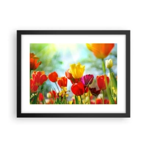 Plakat i sort ramme - Alle solens farver - 40x30 cm