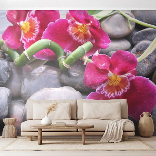 Fototapet Selvklæbende Deluxe Sticker - Kulde og varme - Blomster, Sten, Orkidé - 450x315 cm