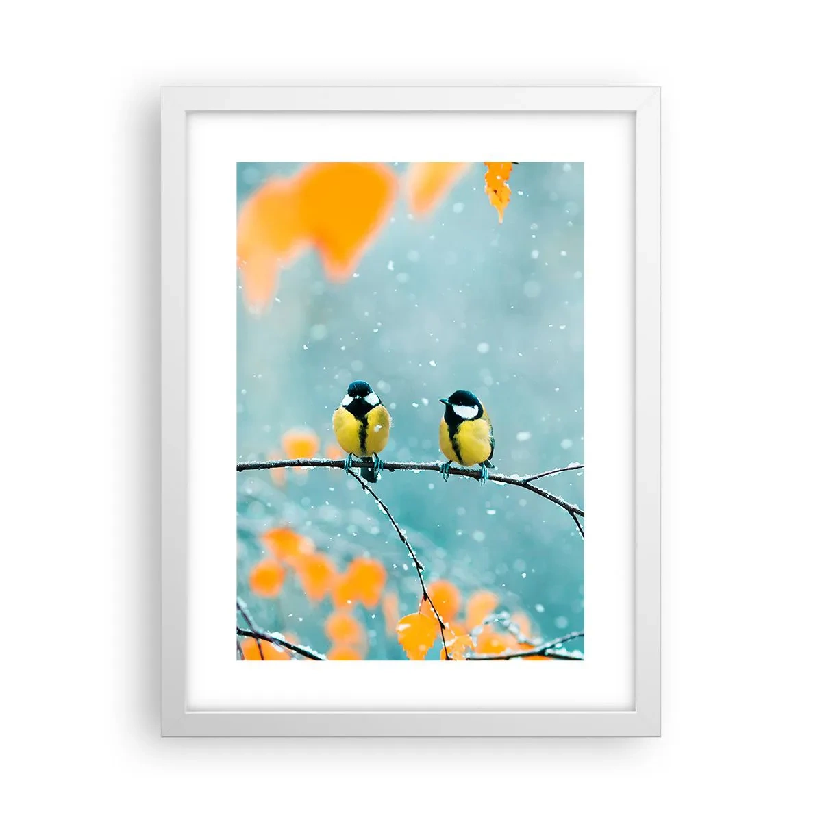 Plakat i hvid ramme - Sladder om fugle - 30x40 cm