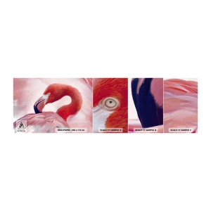 Fototapet Prøve Standard Eco - Fugleskønhed - Flamingo, Fugl, Natur - 100x30 cm