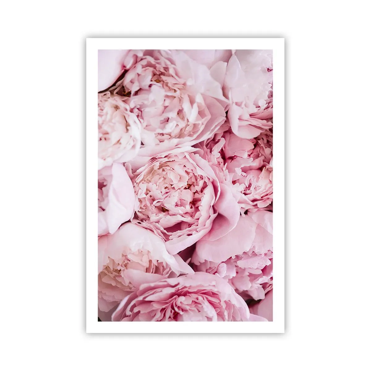 Plakat - Hyggeligt og velduftende - 61x91 cm