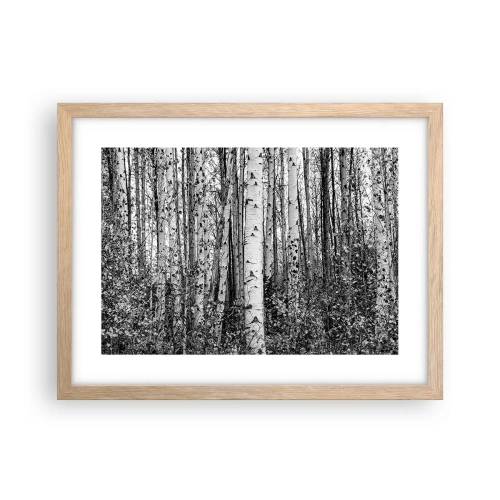 Plakat i ramme af lyst egetræ - Kolonnade af birk - 40x30 cm