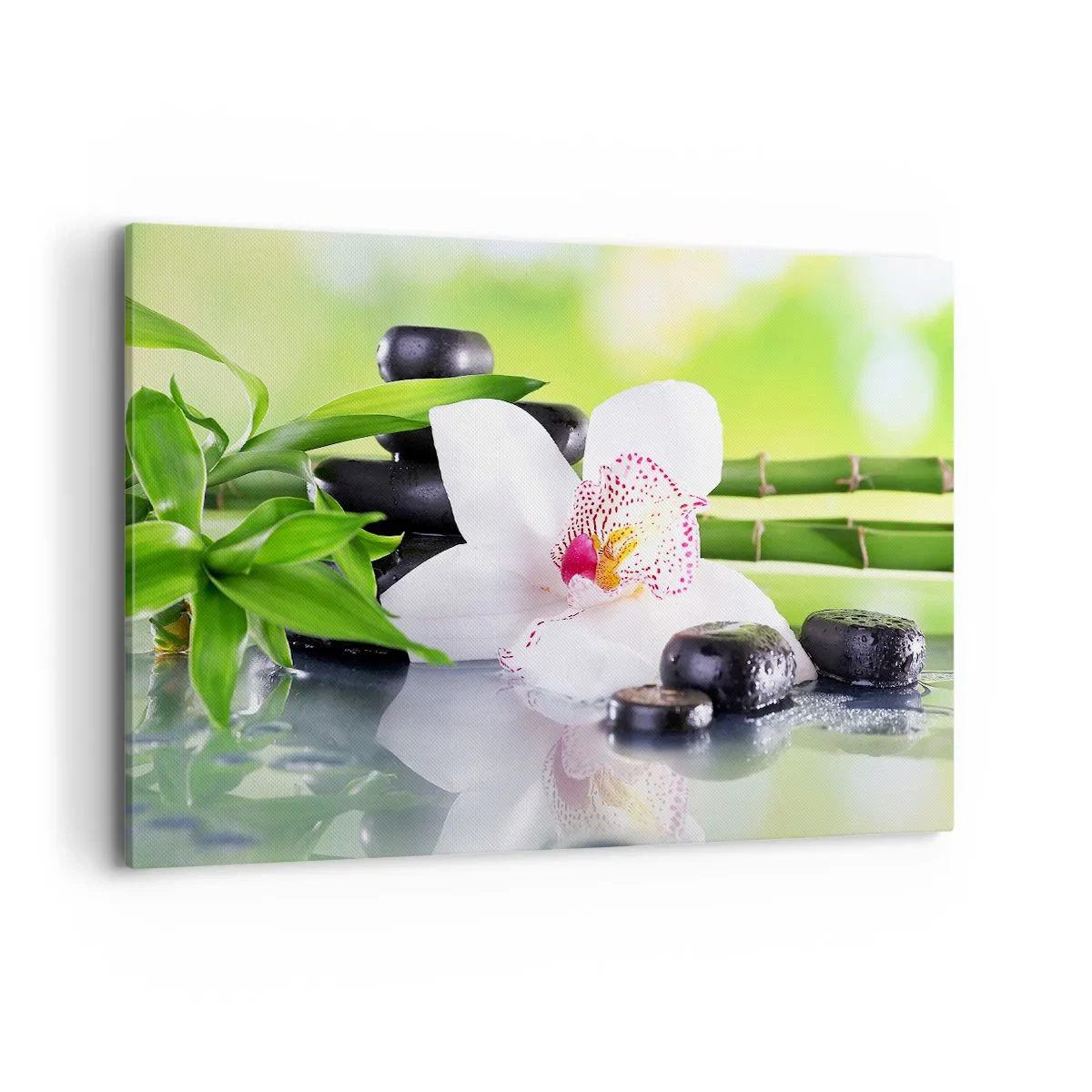 Lærredstryk - Billede på lærred - Kølig friskhed - 100x70 cm