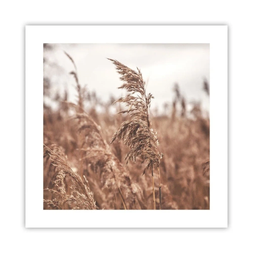 Plakat - Efteråret er allerede på markerne - 40x40 cm
