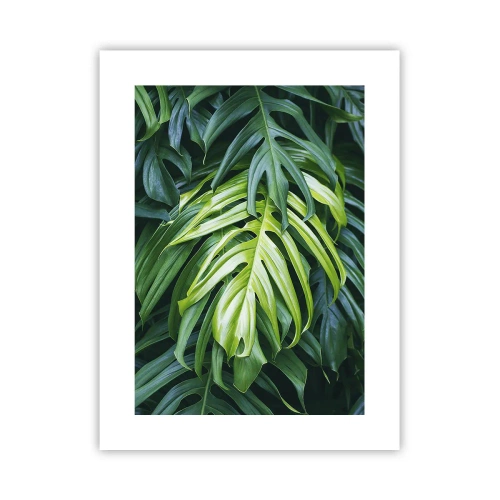 Plakat - Fordyb dig i friskhed - 30x40 cm